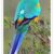 Buy Many Colored Parakeet (Mulga Parakeet) Online
