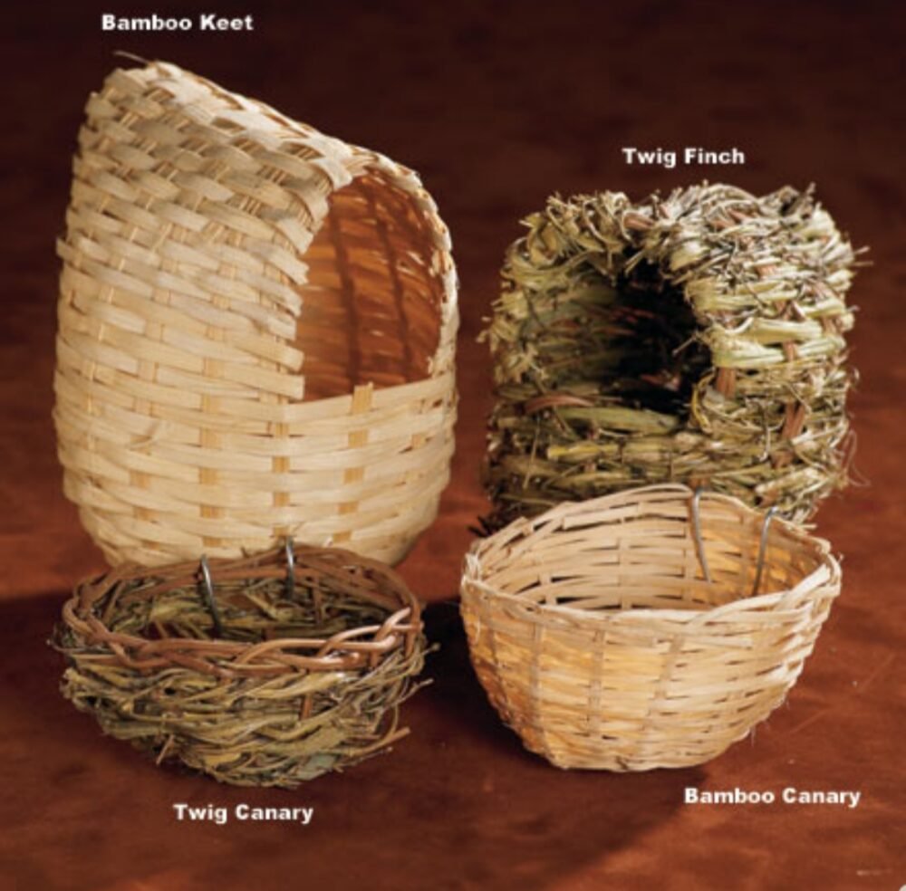 Shop Secondary Image