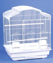 Shop Primary Image