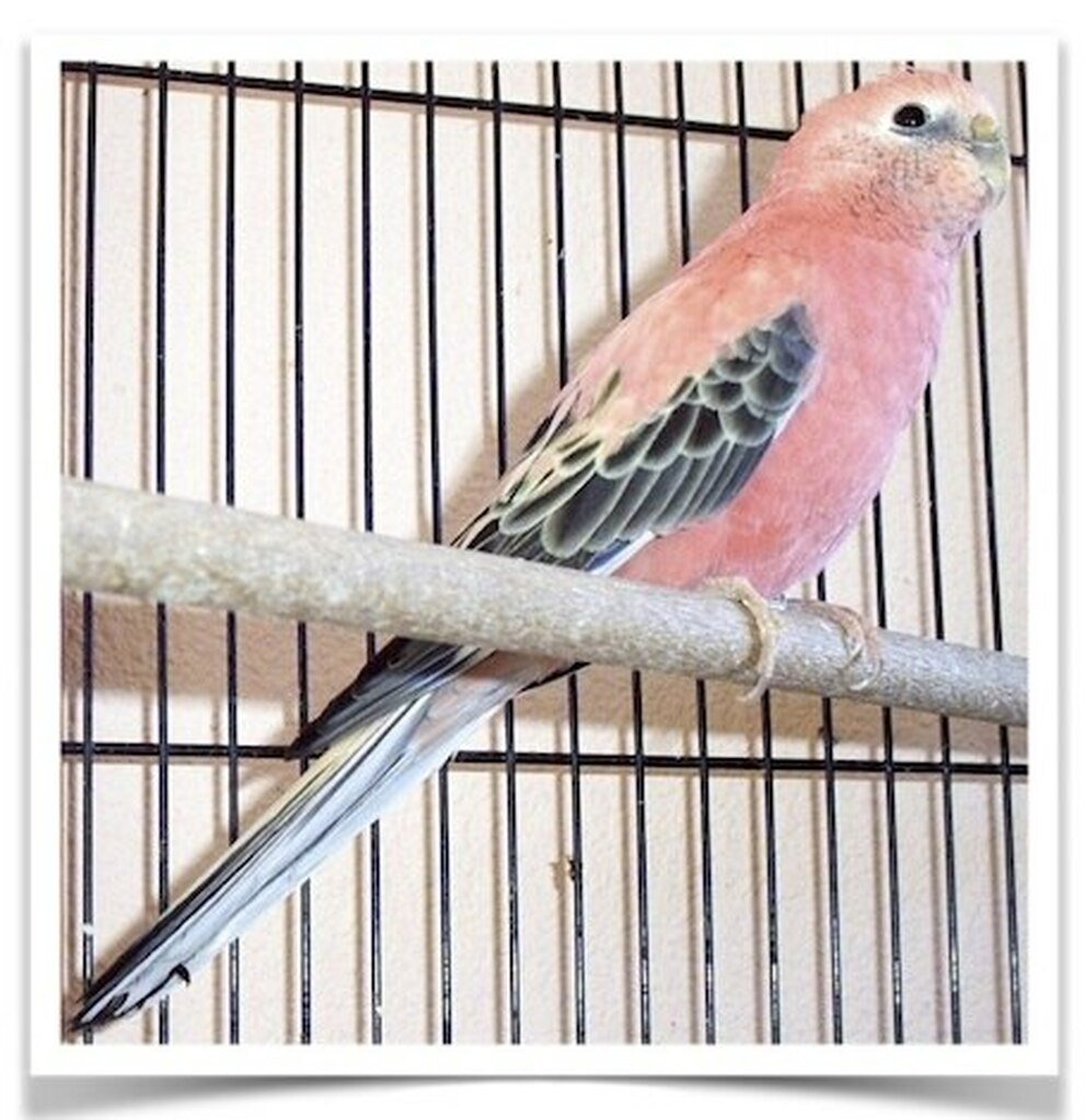 Shop Primary Image