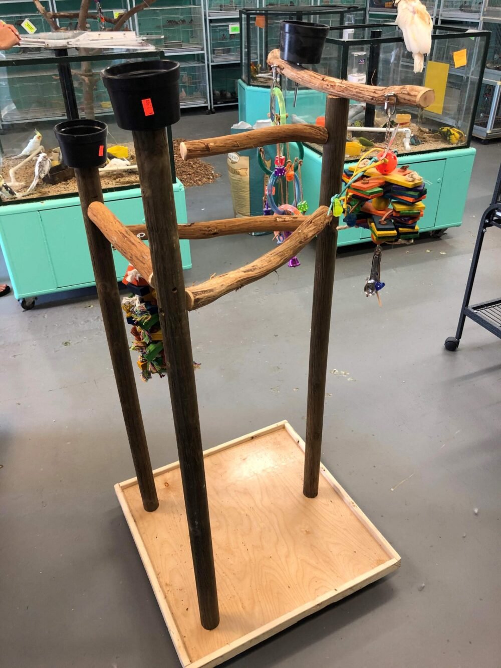 Shop Secondary Image